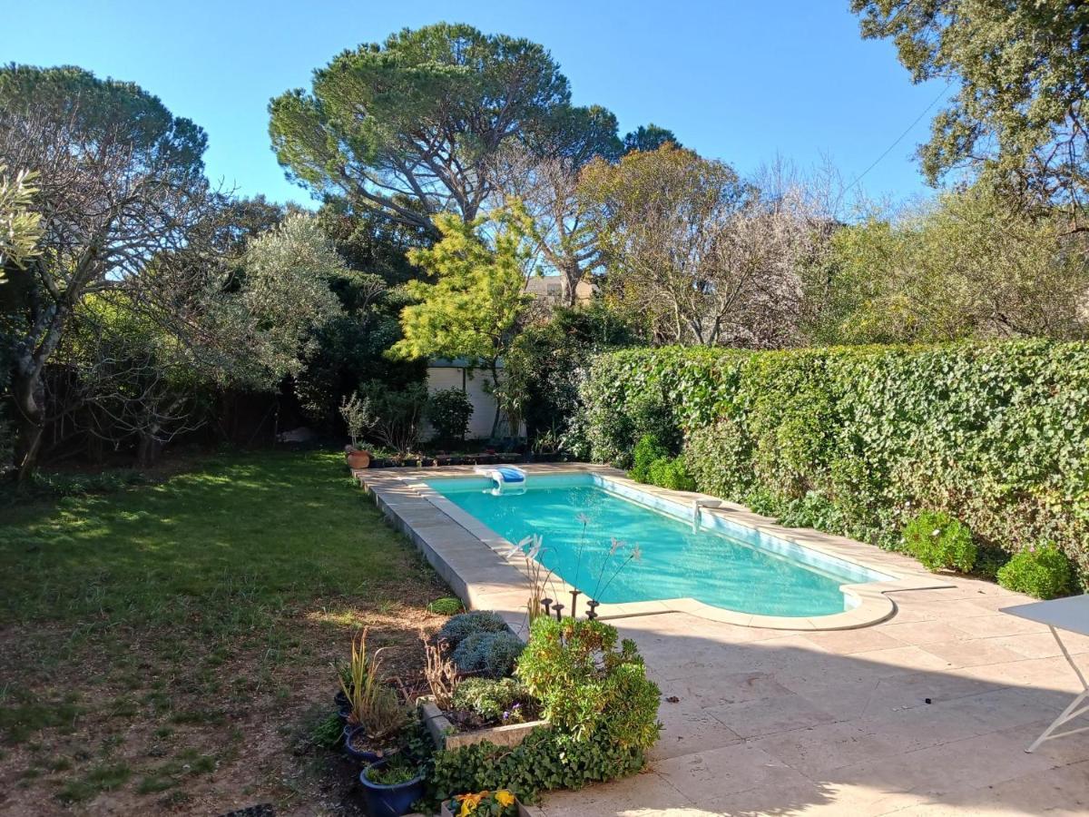 Studio Charmant Et Calme Villeneuve Les Avignon Entree Et Cour Independantes Climatisation Piscine Parking Exteriér fotografie